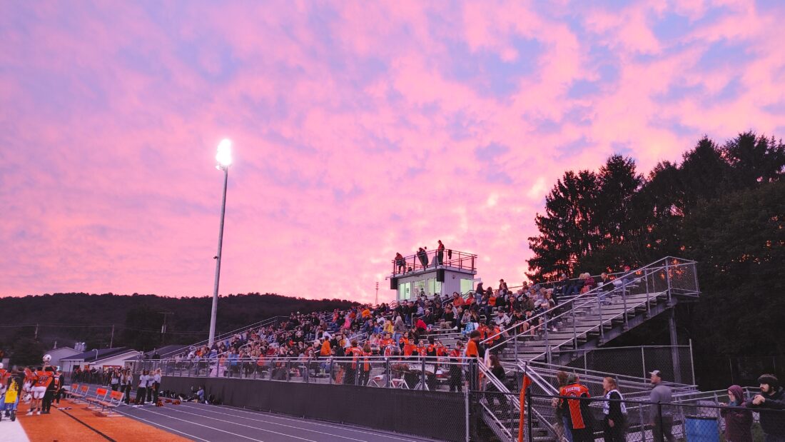 NICHOLSON STADIUM IN WELLSVILLE News, Sports, Jobs The Review